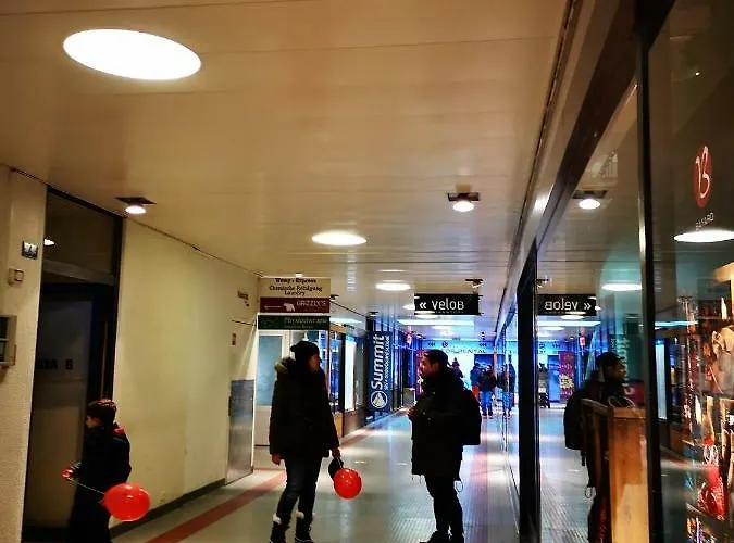 Apartment Viktoria *