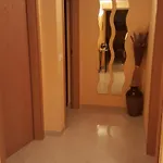 Apartmán Viktoria